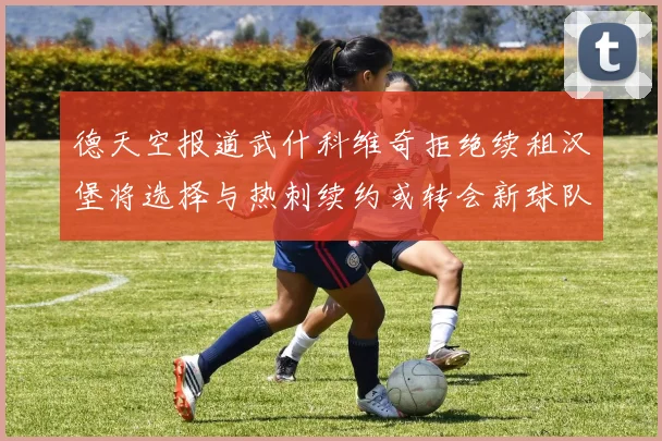 德天空报道武什科维奇拒绝续租汉堡将选择与热刺续约或转会新球队